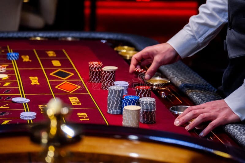 5956bet