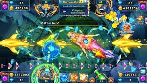 5956bet